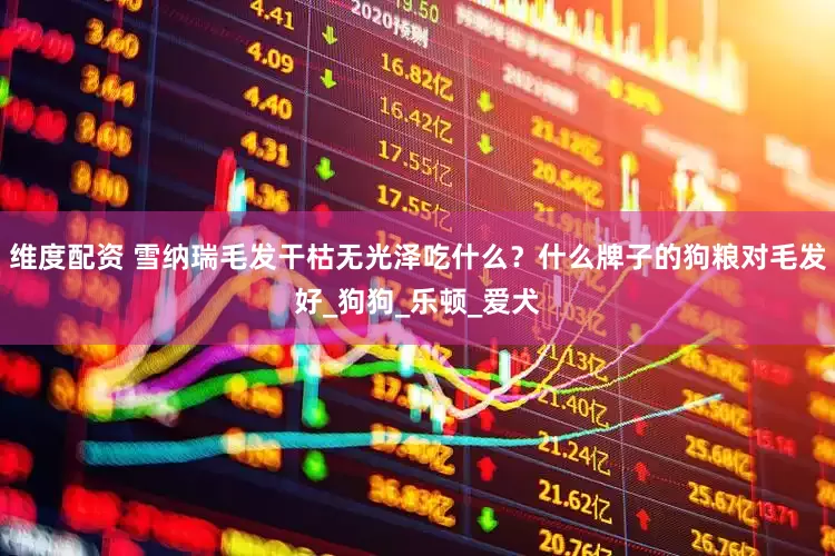 维度配资 雪纳瑞毛发干枯无光泽吃什么？什么牌子的狗粮对毛发好_狗狗_乐顿_爱犬