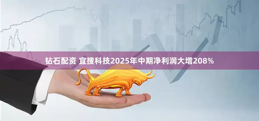 钻石配资 宜搜科技2025年中期净利润大增208%