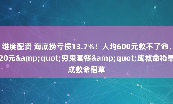维度配资 海底捞亏损13.7%！人均600元救不了命，20元&quot;穷鬼套餐&quot;成救命稻草