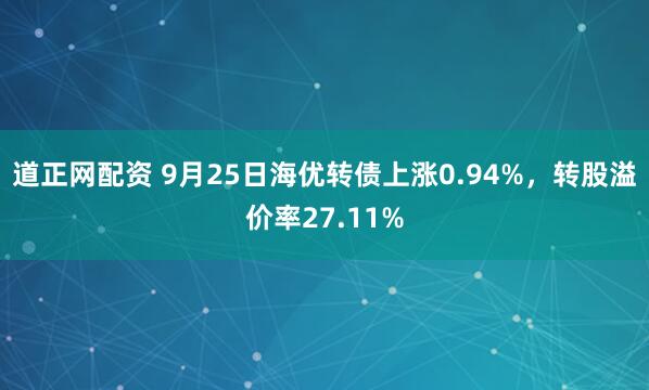 道正网配资 9月25日海优转债上涨0.94%，转股溢价率27.11%